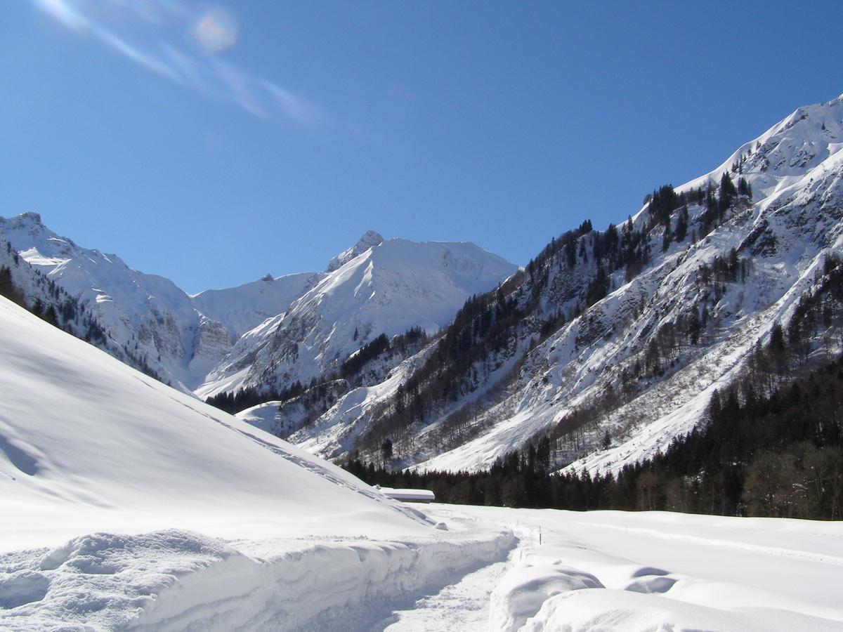 Landhaus Spielmannsau Oberstdorf Luaran gambar